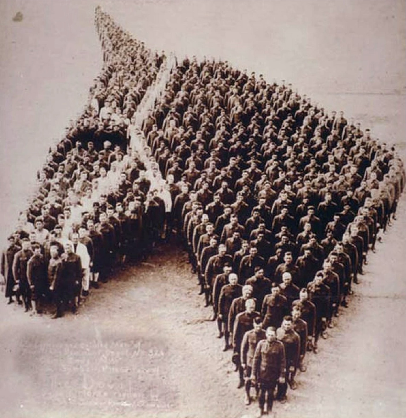 Remembrance of the 8 million hero horses that died in WWI 